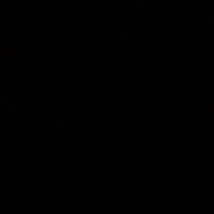 Meet your Posher, Maddie